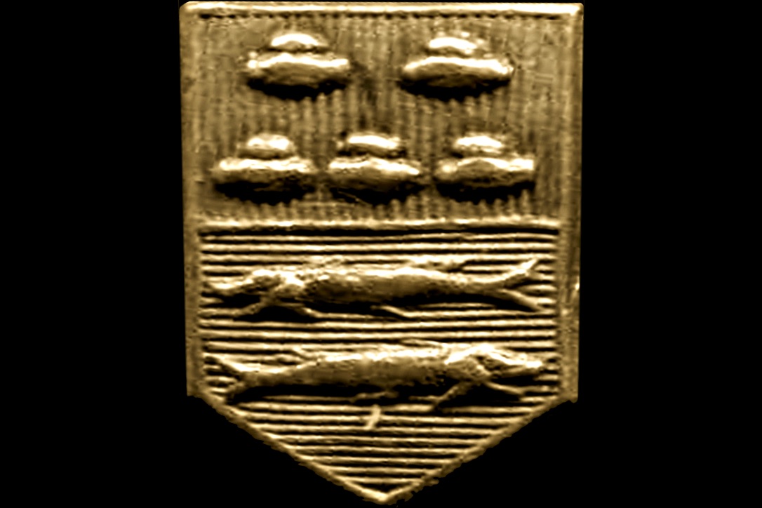 6BCB2CC9-5AA8-4695-9E99-DC3CE19A79D4_1_105_c