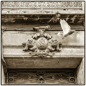 87379234_2819782091421347_3444165679463268352_o-1