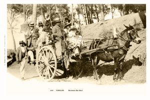 913792E7-6980-44BD-AFB7-9E3FFF943FF9