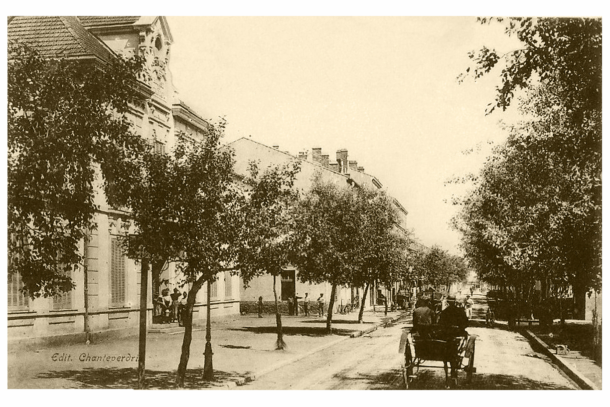 DD34A858-93E0-4E0C-8390-E39B143294CA