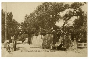 01DDAA64-0623-4A46-99A6-0AC097EDD3E6