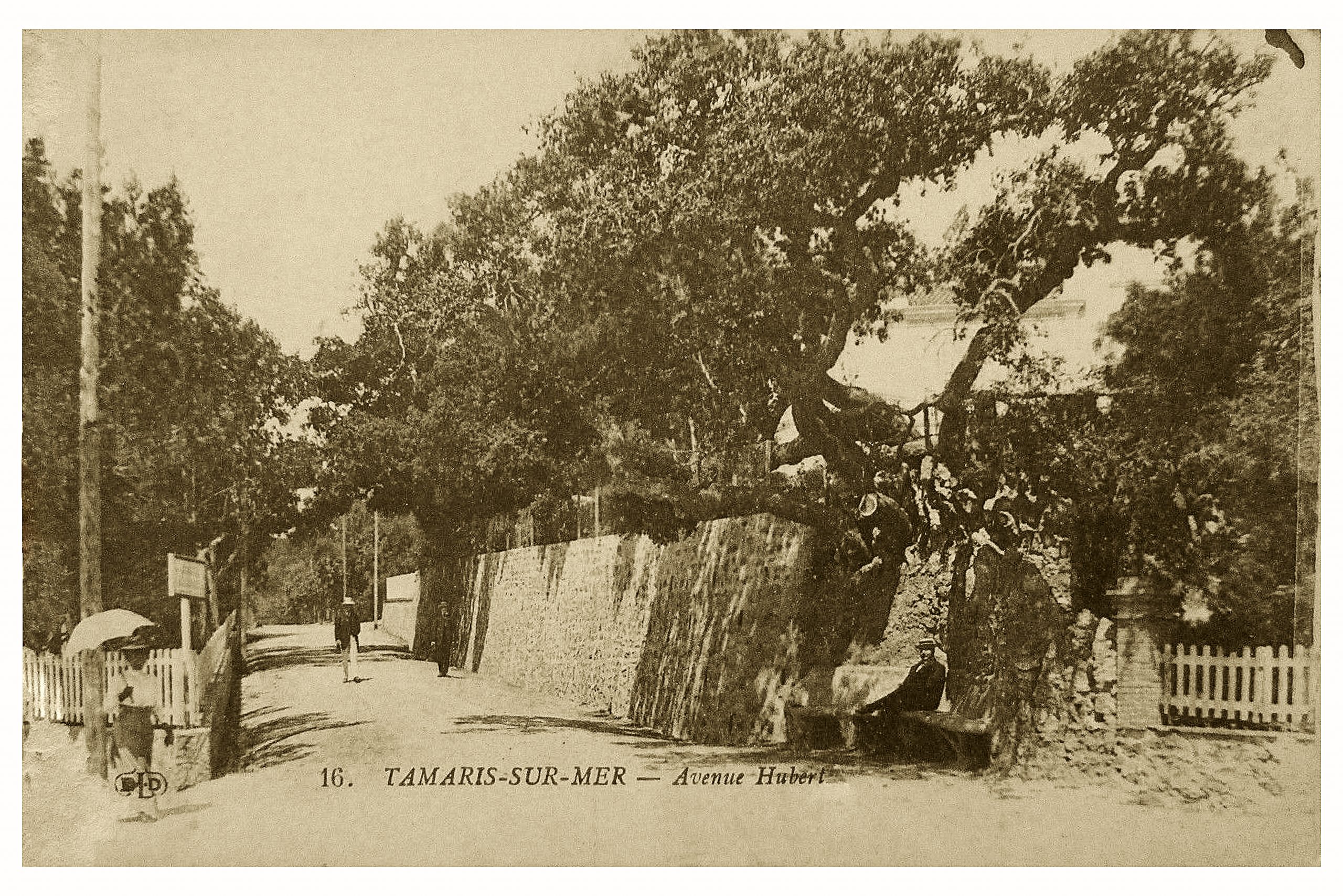 01DDAA64-0623-4A46-99A6-0AC097EDD3E6