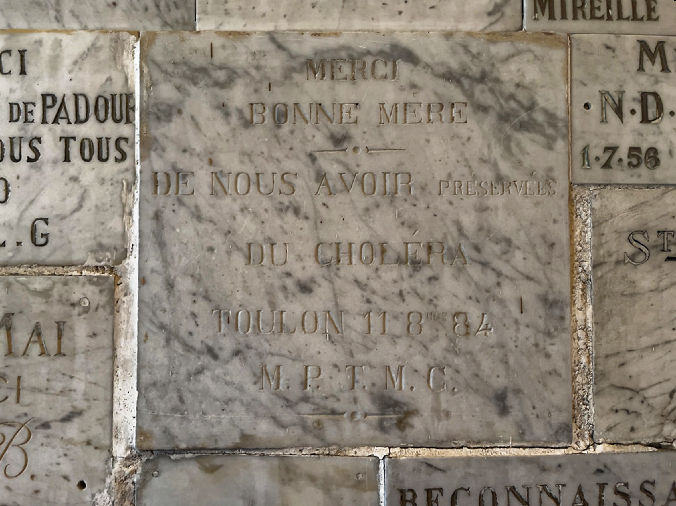 C80ECB40-9127-43A7-A477-19A5896629E6_1_105_cDxO