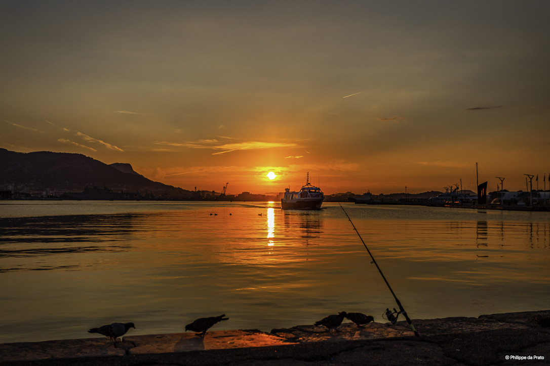 70D1D506-0C4A-407A-8F5A-CE801CE38831_1_105_c