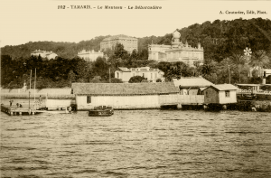 69965251-A6DF-4077-A99D-28D76F4A5313