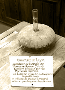 Capture d’écran 2023-07-15 à 10.20.10