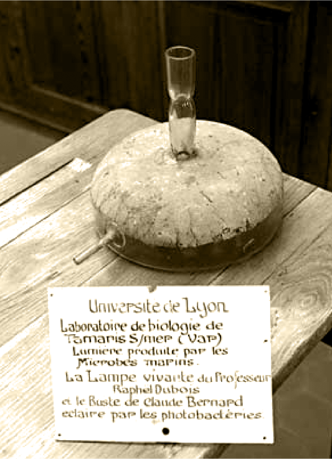 Capture d’écran 2023-07-15 à 10.20.10