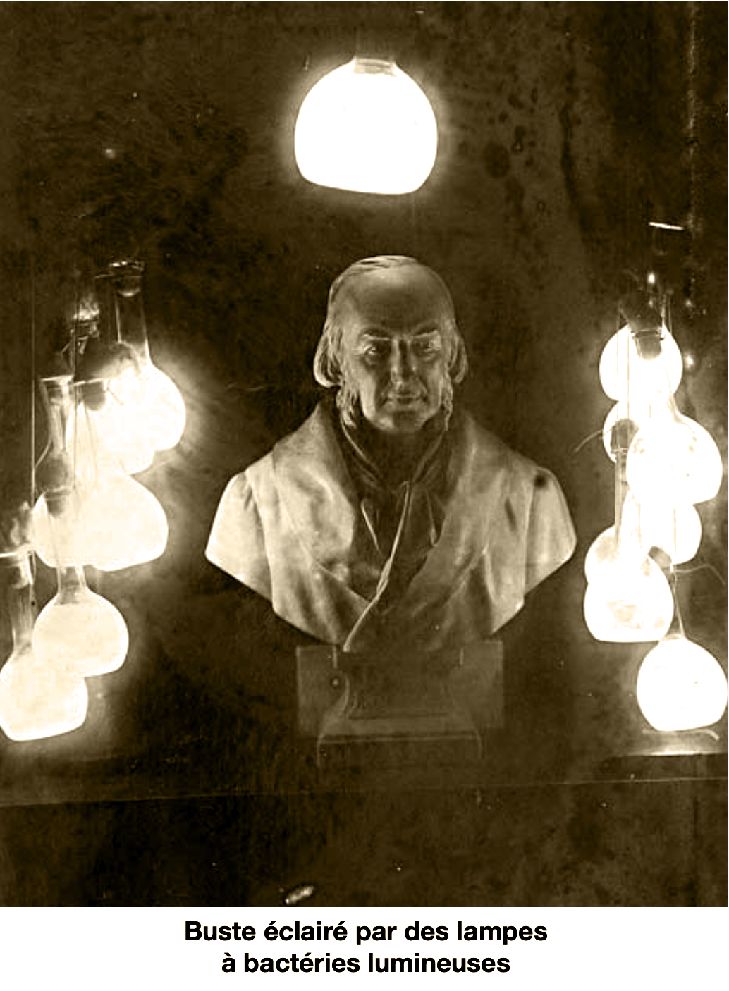 Capture d’écran 2023-07-15 à 10.21.59