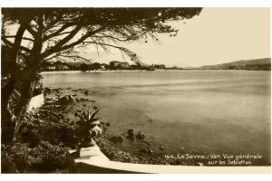 0FE0D4CD-0F0E-4318-8BBA-C9CFD976F205_1_105_c