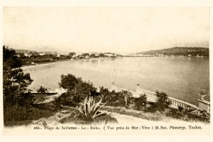 390924A2-CD88-4EB9-87E0-01EDB53443FF_1_105_c