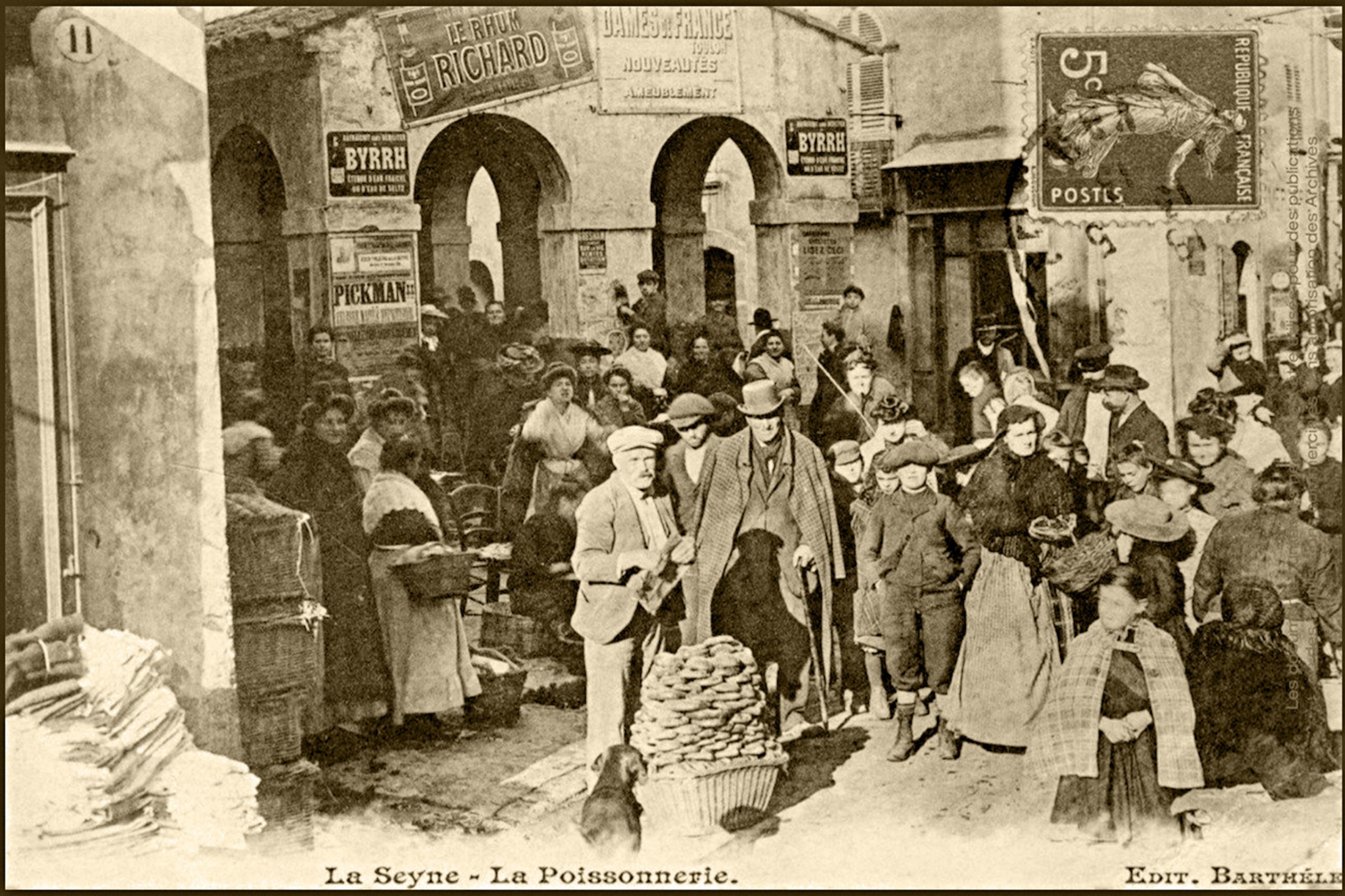 59530336-6412-4DB7-9B14-974C83342476_1_101_a