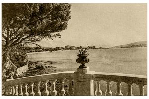 65CC5B57-4141-4E5F-9CA2-E91E9201E7F1_1_105_c