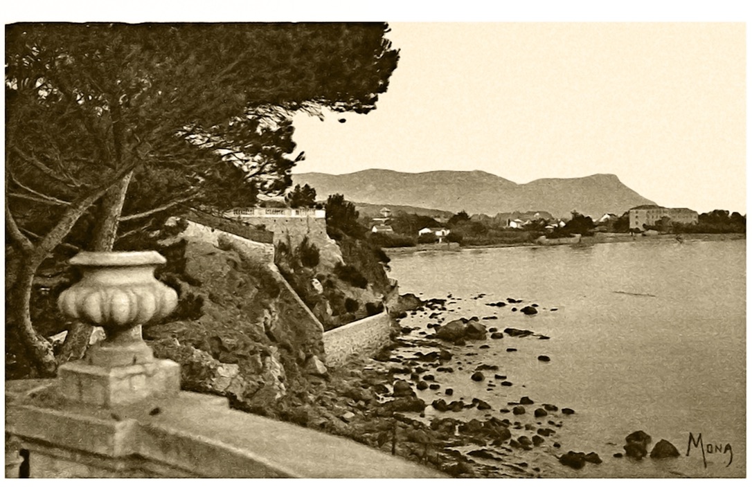 A2427E71-1BEB-49AA-8869-E258B7C3453D_1_105_c