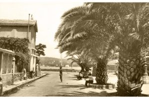 E8D3C851-EA7D-46B5-87BA-FCCBDE644377_1_105_c