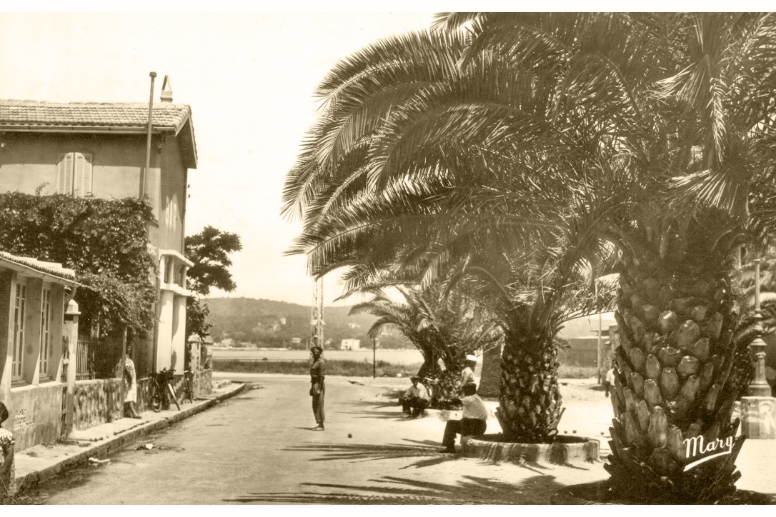 E8D3C851-EA7D-46B5-87BA-FCCBDE644377_1_105_c