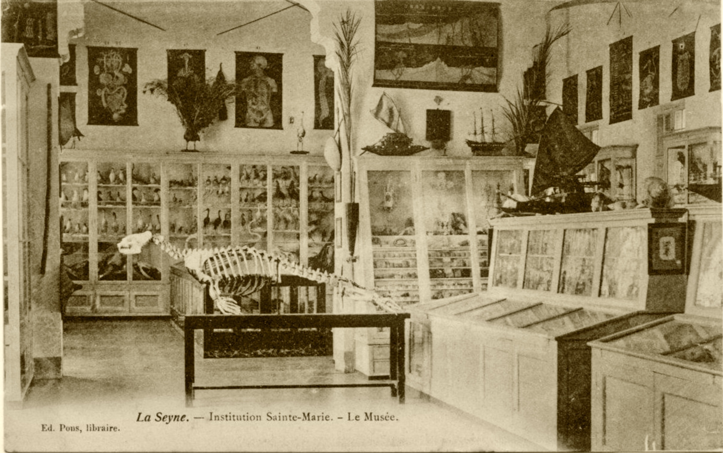 12D785F5-9CFE-4333-840A-64E8BFAABE30_1_201_a