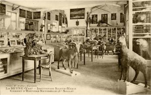 12F5DD7E-8896-42B3-8859-B39E0C22630A_1_105_c