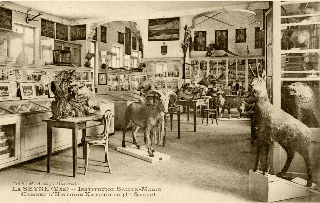 12F5DD7E-8896-42B3-8859-B39E0C22630A_1_105_c