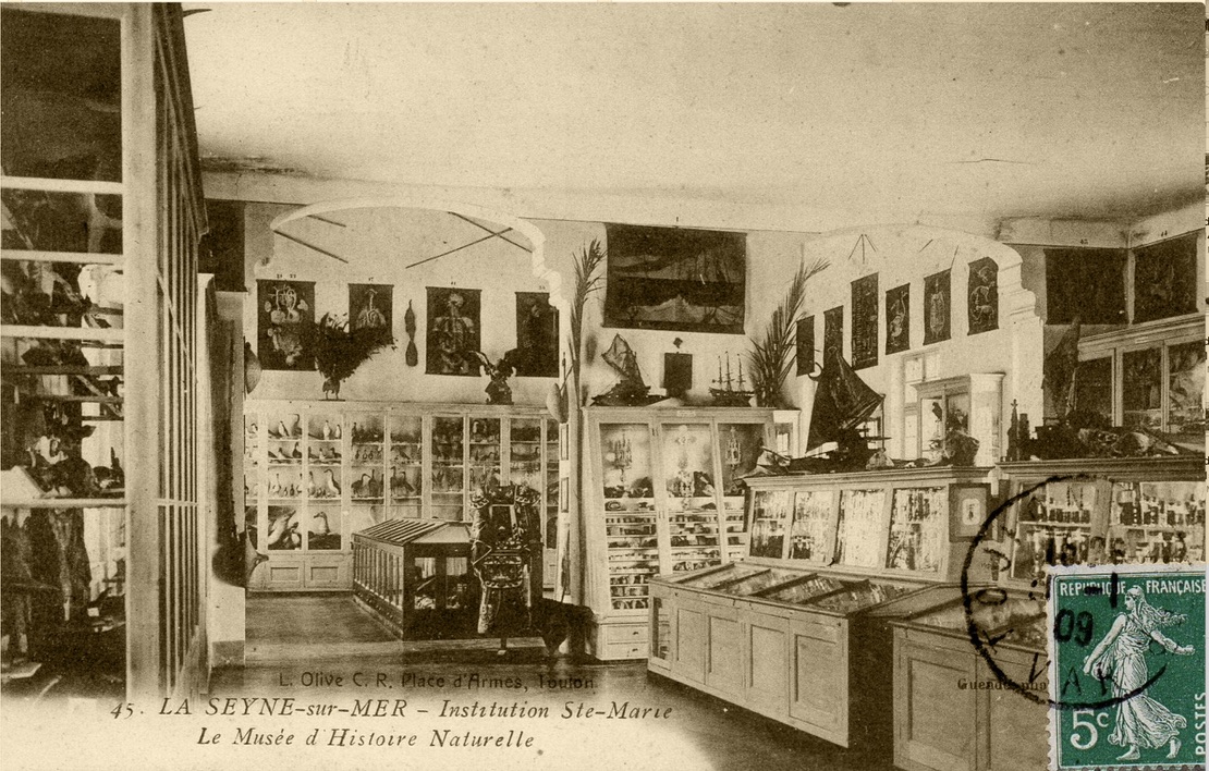 13541A1F-2D76-496F-957A-9D1E9E221FAF_1_105_c