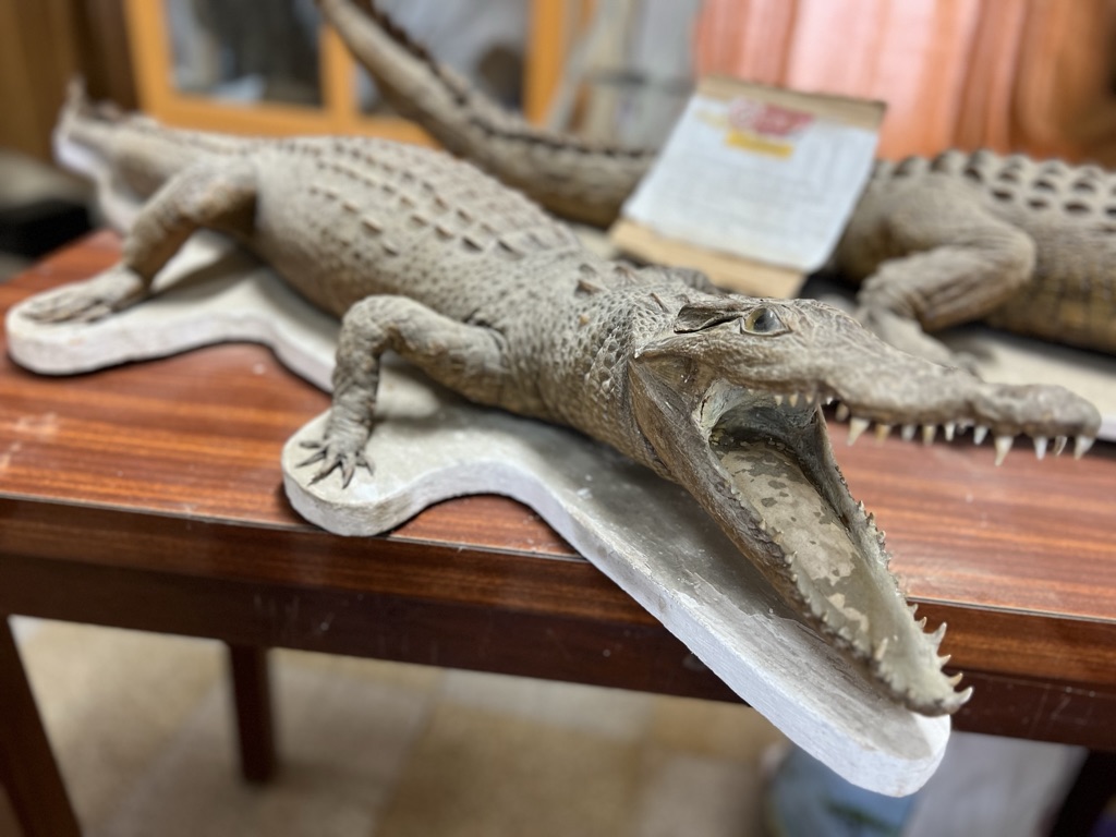 186C6696-EF38-41DB-A1A3-82AA4583AE27_1_105_c