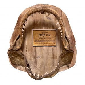 4BB22517-51EE-4870-ACF5-E37E92771392_1_201_a