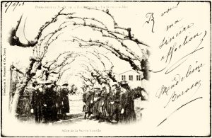 63B0BA9E-31DD-4ACD-BC9D-9888CA07FF58_1_105_c