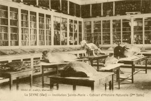 63E9DCDD-3B2D-4E5D-8DFE-59D89E5F6E1F_1_105_c