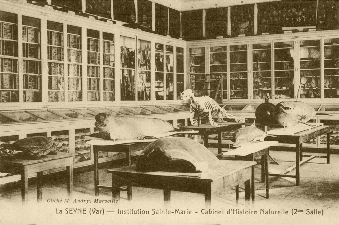 63E9DCDD-3B2D-4E5D-8DFE-59D89E5F6E1F_1_105_c