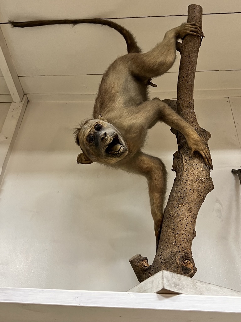 68081346-63C1-4696-9F13-3A007F57EE58_1_105_c