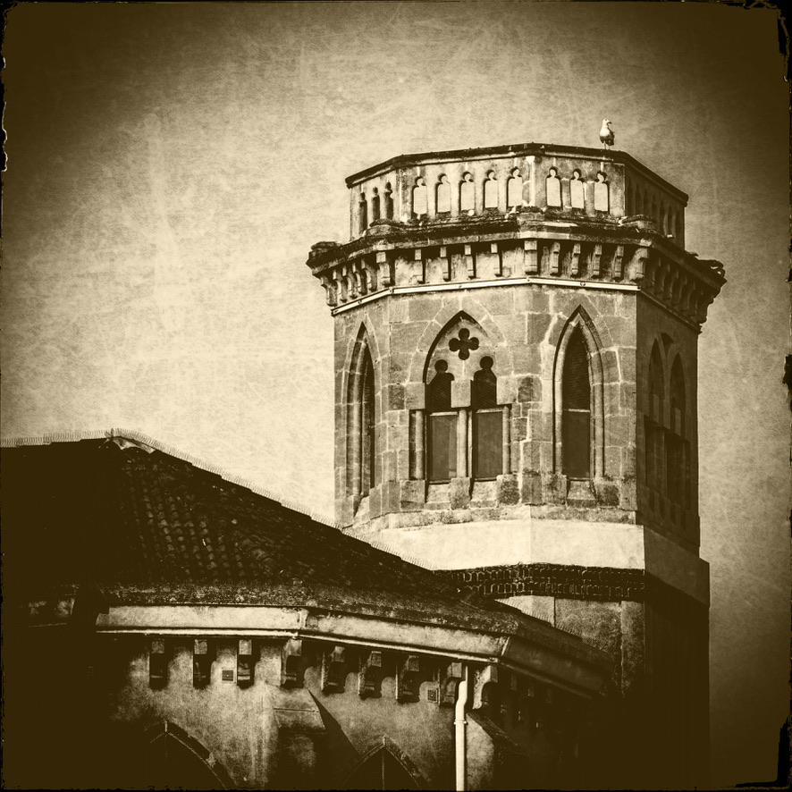 76BA3B28-C425-4D33-95D8-6B23AD648978_1_105_c