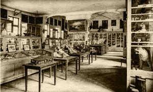 8A5B28C6-90EF-4874-8517-64DE238D1DEF