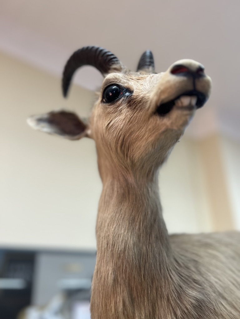 B22C88FB-42A9-45E2-B6EA-CC7CB09B98D5_1_105_c