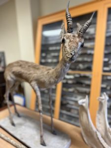 B2CF7F00-EFF1-49B7-9DDD-6BEA7791B4C7_1_105_c