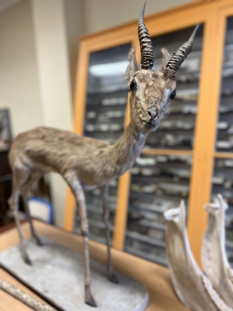 B2CF7F00-EFF1-49B7-9DDD-6BEA7791B4C7_1_105_c