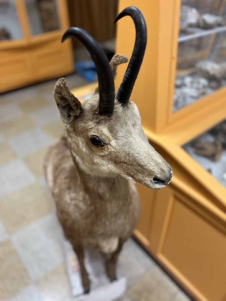 B8F664CA-EDC4-4717-BDC1-598B1098D6C4_1_105_c