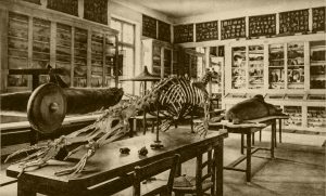 C6B66921-E2CB-432A-9089-AB0DEFBB76B0