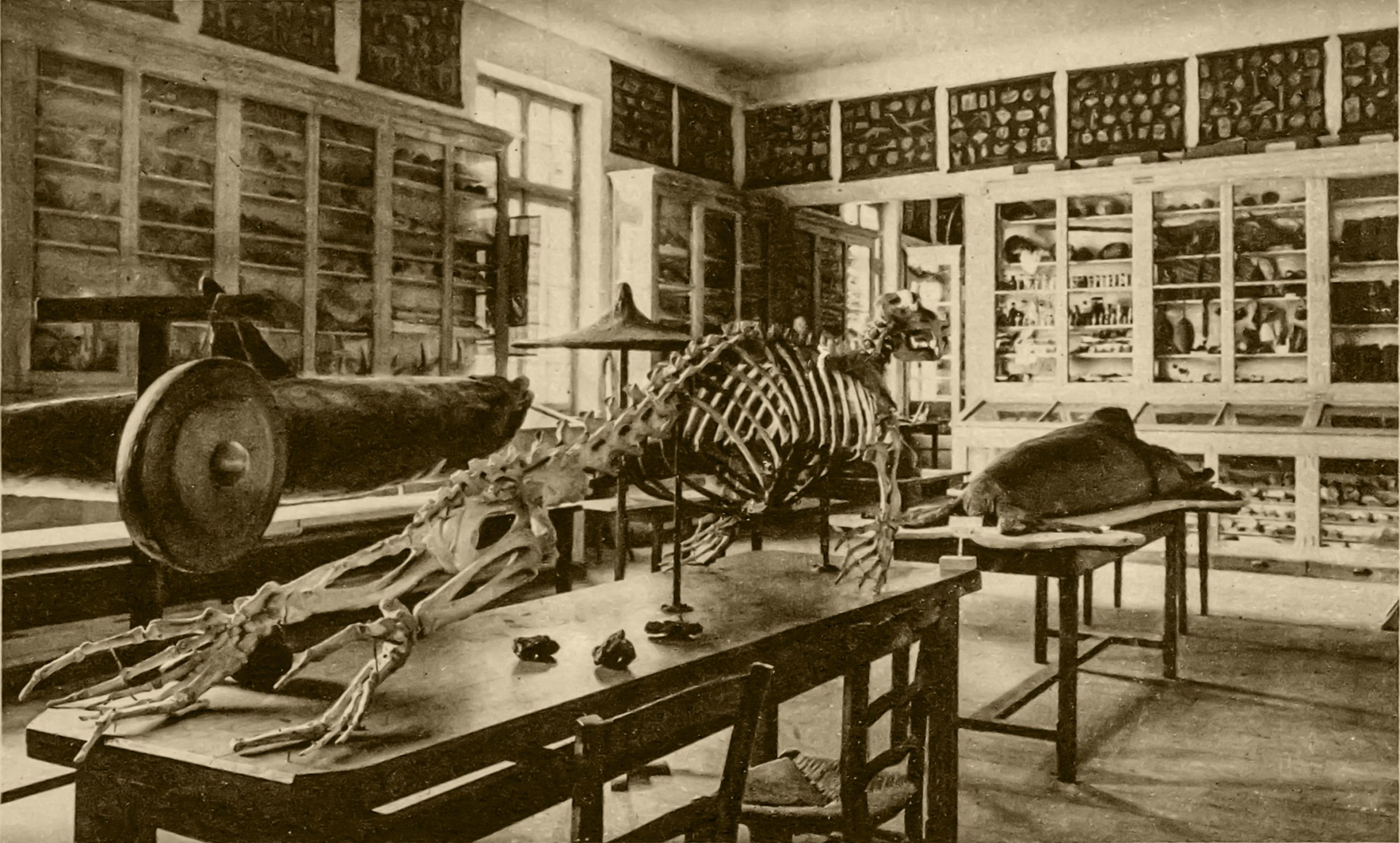 C6B66921-E2CB-432A-9089-AB0DEFBB76B0