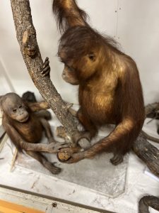 CDEF88B3-878B-4FCD-B143-8F0F4063161F_1_105_c