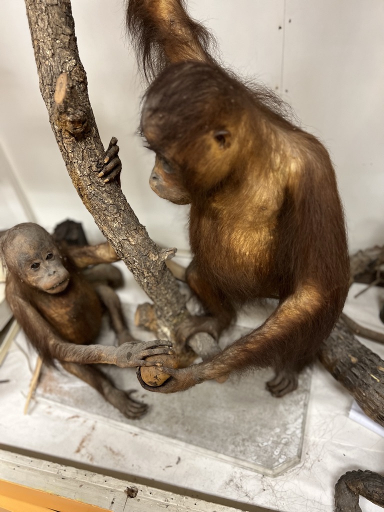 CDEF88B3-878B-4FCD-B143-8F0F4063161F_1_105_c