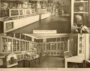 DD9AD070-8E28-44A5-86A1-F0952B1A8B6F_1_105_c