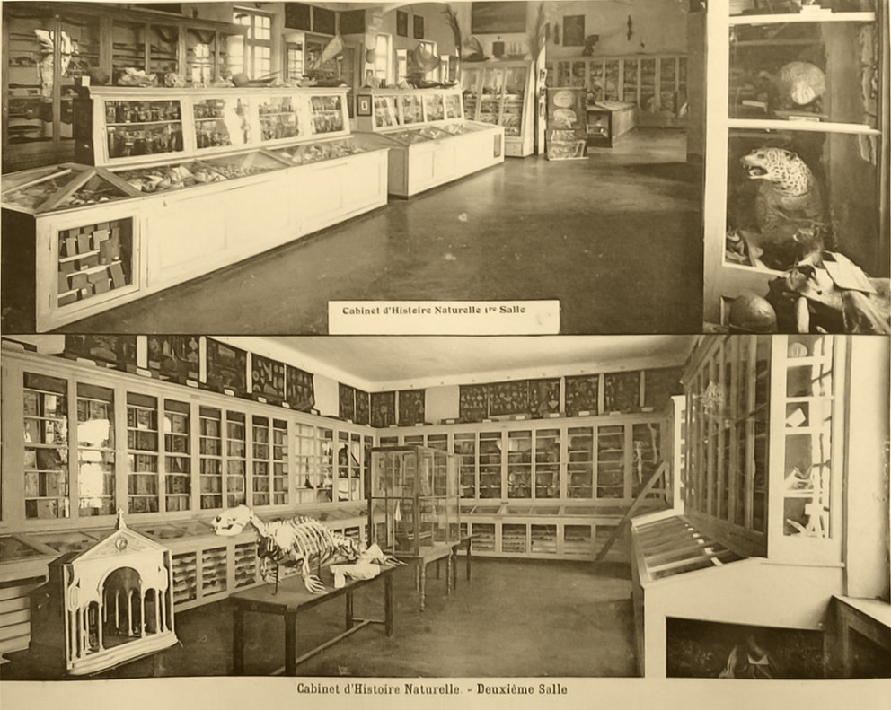 DD9AD070-8E28-44A5-86A1-F0952B1A8B6F_1_105_c