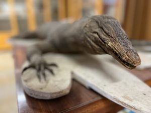 E2B3E354-D68D-48F7-89E0-8F25103B02C6_1_105_c