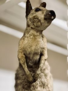 C40258DF-8863-45D7-90BF-0C76B4236610_1_102_a