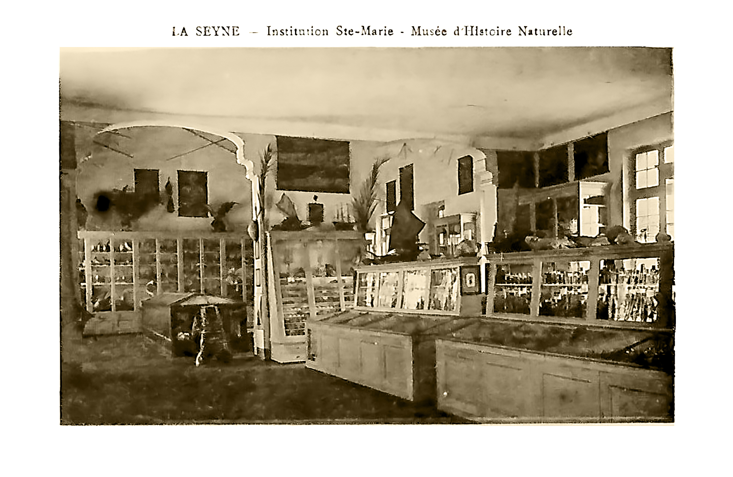 798A6AE7-B7D3-42F0-997E-C5D65983BA79