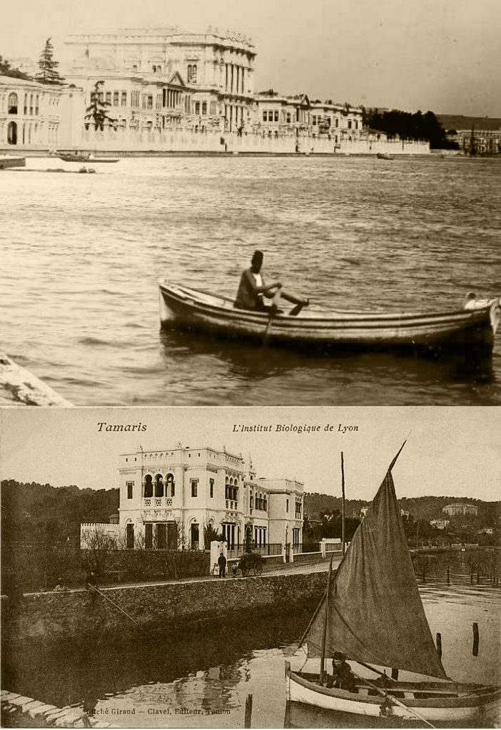 Capture-décran-2022-09-19-à-12.54.37mix-702x1024