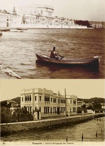 Dolmabahcé-Tamaris-1-735x1024