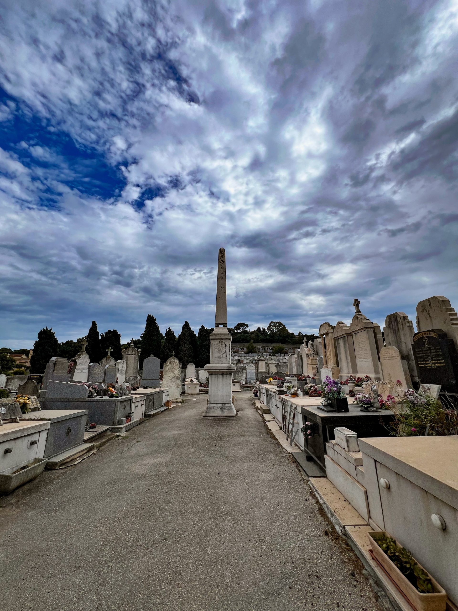 20694C76-6DFA-4CEA-B696-F1EEBC9440BF_1_201_a