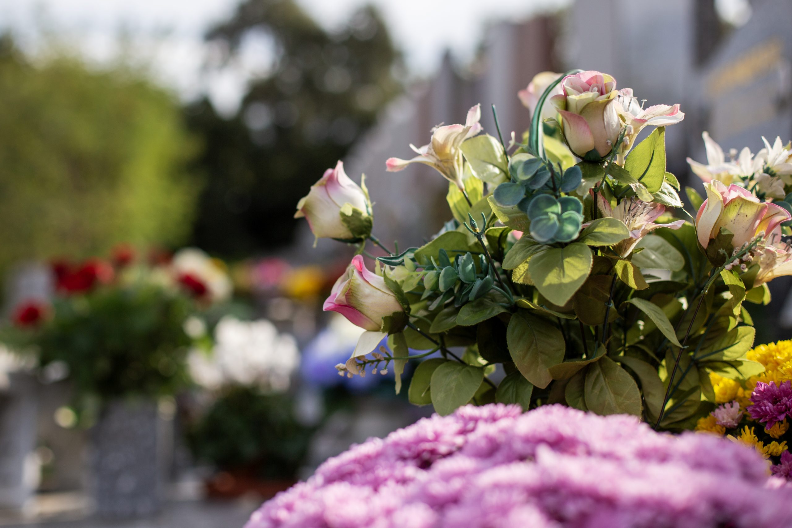 20A78E35-56B3-4E9C-9FC8-A14779AAA1A2