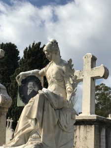 21792F57-D9DA-47BD-B443-1817E9FDE848_1_105_c