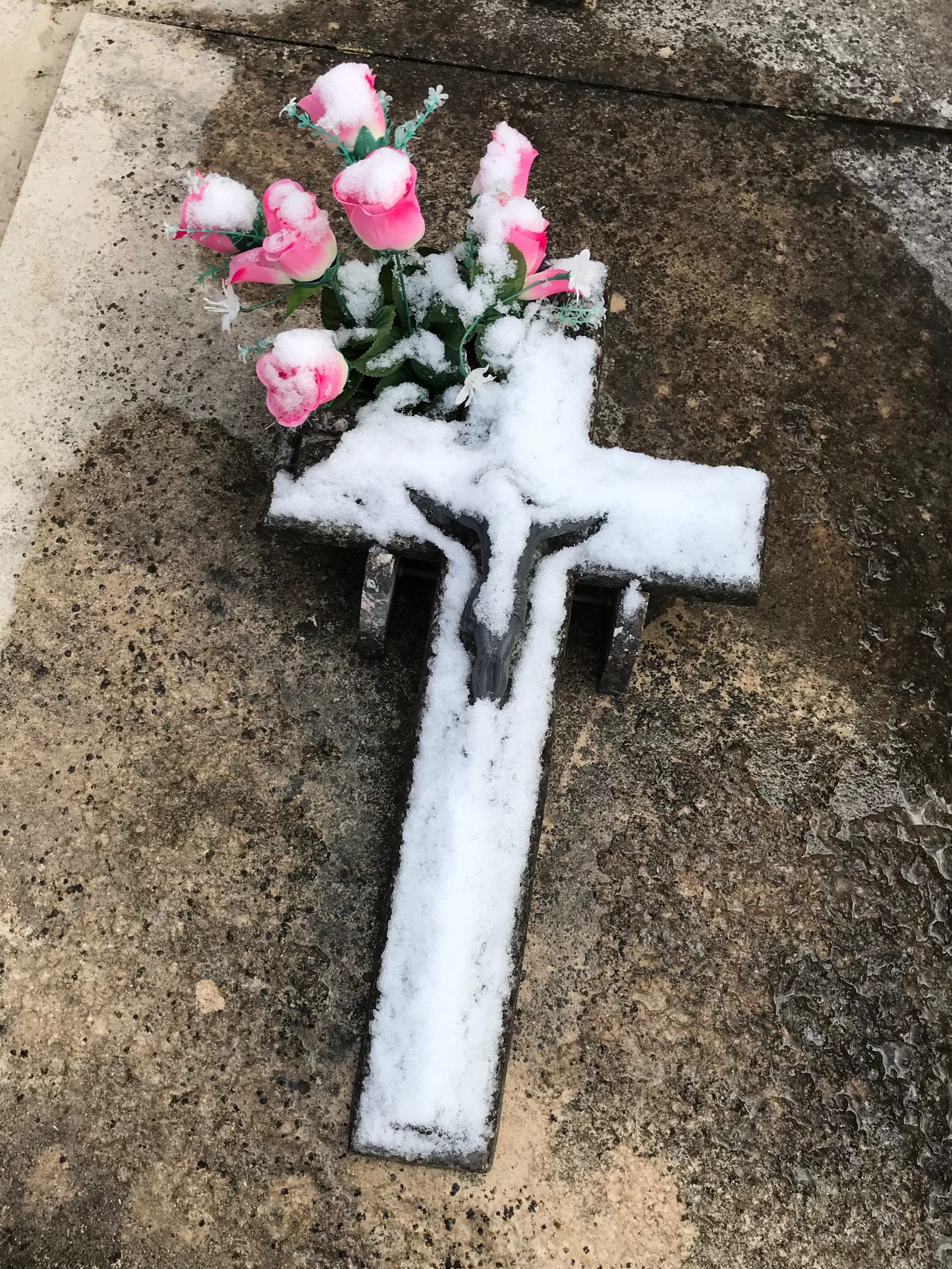 2B5CC4C5-C370-4479-8DF2-D31C69B512EA_1_201_a